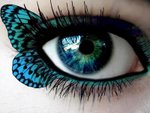 Eyes (242)