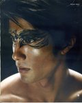 Eyes (259)