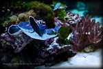 IMG_5614_05072009