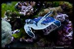 IMG_5616_05072009
