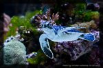 IMG_5617_05072009
