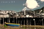 Tai O nature shooting-07