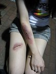 ap_20081119055011783.jpg