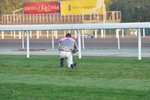 d







DSC_1316