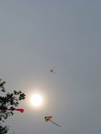 IMG_4046