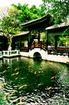 nEO_IMG_DSC_0098