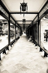 nEO_IMG_DSC_0100