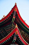 nEO_IMG_DSC_0459