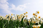 nEO_IMG_DSC_0507