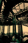 nEO_IMG_DSC_0675