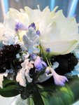 IMG_2226