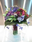桔梗風信子花球