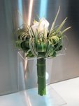 馬蹄蘭花球