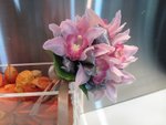 IMG_4588(001)