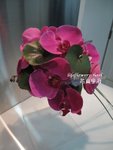 蝴蝶蘭結婚花球