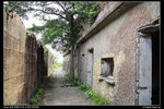 IMG_5828
