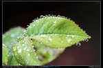 IMG_8085