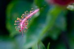 IMG_6066