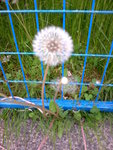 20090518