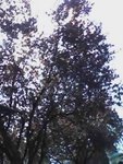 20090501