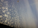 20090517