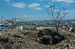 DSC_9039M