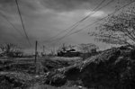 DSC_9051M