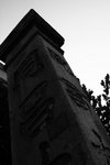 IMG_2756