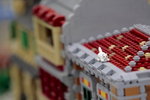 IMG_6139