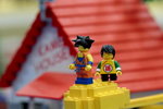 IMG_6279