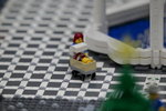 IMG_6344