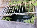 IMG_0498
