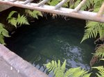 IMG_0500