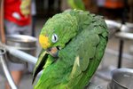 IMG_5332
