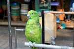 IMG_5337