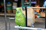 IMG_5338