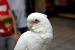 IMG_5340