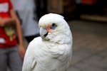 IMG_5341