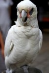 IMG_5342