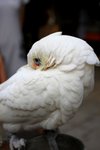 IMG_5344