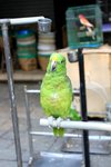 IMG_5345