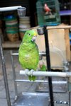IMG_5347