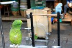 IMG_5348