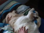DSC04047