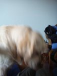 DSC04050