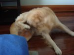 DSC04051