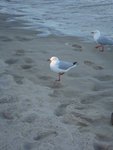 DSC04064