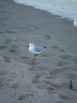 DSC04065