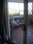 DSC04041