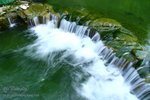 IMG_1305